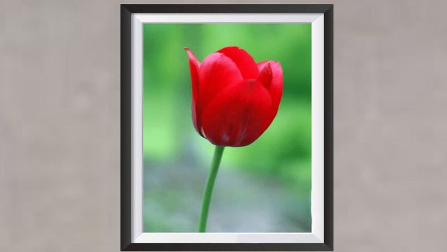 featured-image-1781624369737